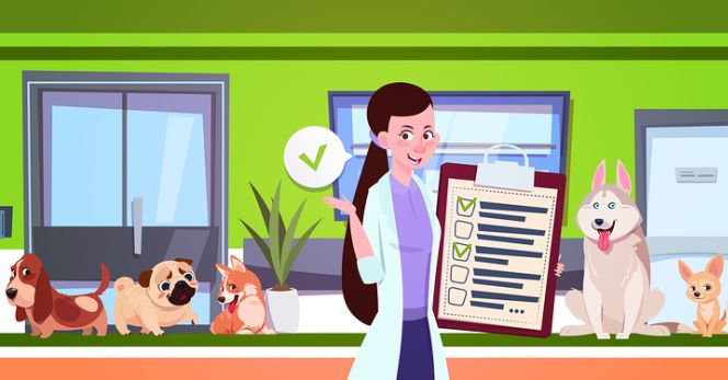 Promuovere una struttura veterinaria